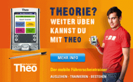 Theo Fahrschultrainer